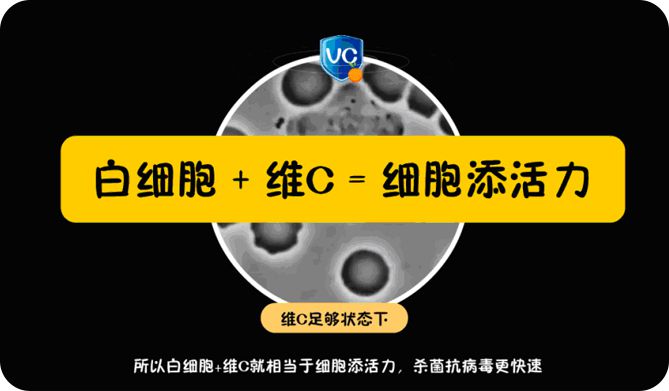 维生素C 维生素C