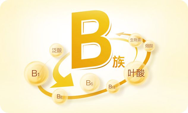 关于维生素B族 关于维生素B族